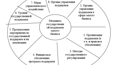 Photo of Государственная поддержка малого бизнеса